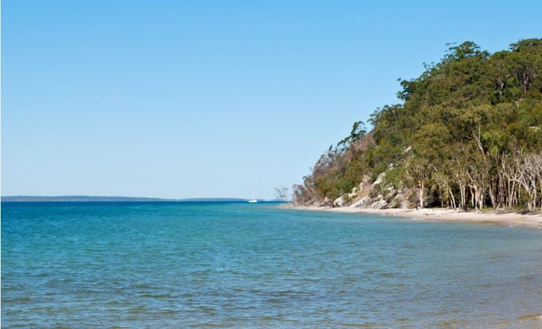 Fraser Island Unearthed: An Unforgettable Symphony of Natural Marvels