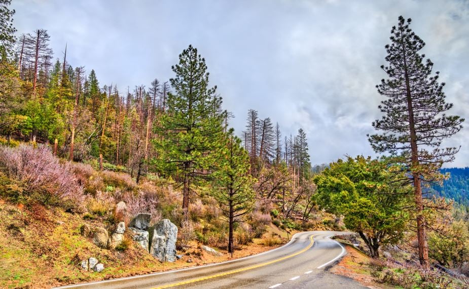Yosemite: The Epitome of Nature's Grandeur