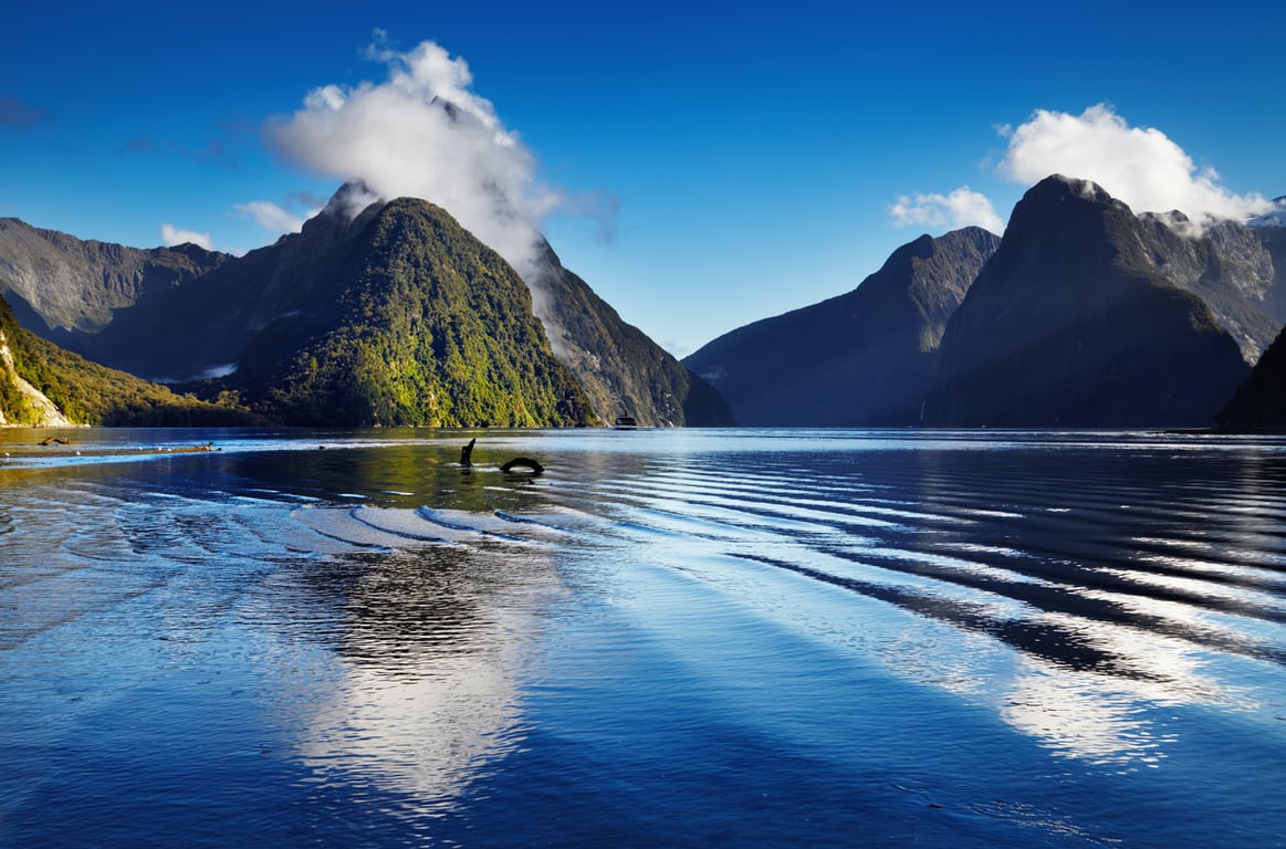 Milford Sound is one of New Zealand's Seven Natural Wonders.