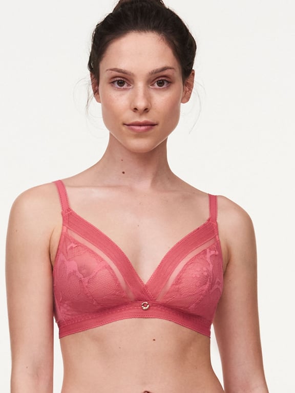 Lace Triangle Cups Bras, Transparent Lace Bra, Wireless Bras - China  Wholesale Lace Triangle Cups Bras $2 from Shantou Real Lingerie  Manufacturing Co. Ltd