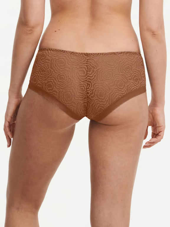 C Jolie Lace Hipster Tabac - 2