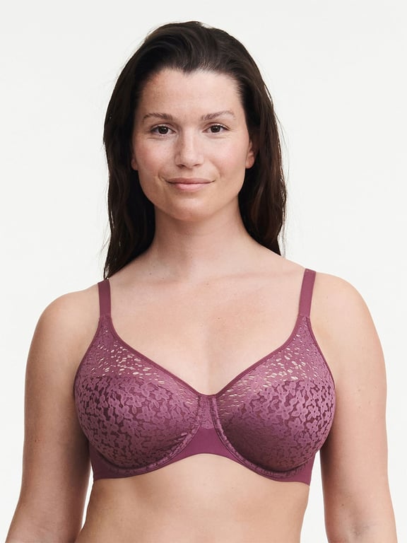 Chantelle Womens Parisian Allure Unlined Plunge Bra : : Clothing,  Shoes & Accessories