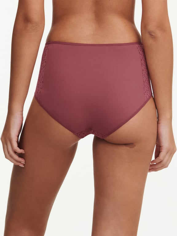 Norah Comfort High Waist Brief Sepia - 2