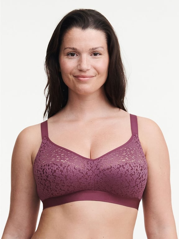 Buy Chantelle Norah Lace Full Support Wireless Bra - Pale Rose At 62% Off