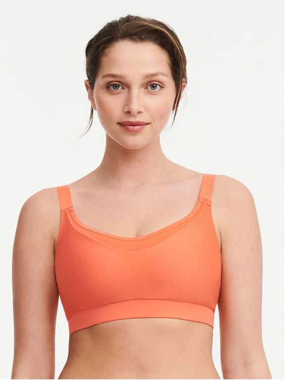 Buy Fabluk® Elite Performance Zip-Front Sports Bra  Longline, Supportive  Workout & Yoga Top with Enhanced Comfort with Free Bella VOSTE Eye Makeup  Combo (Black, M) at
