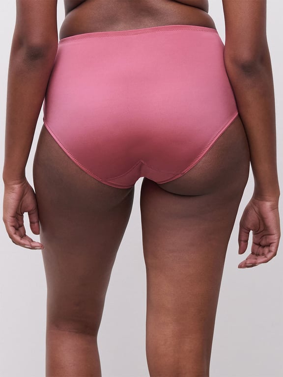 Every Curve Smoothing Full Brief Dahlia Multico - 2