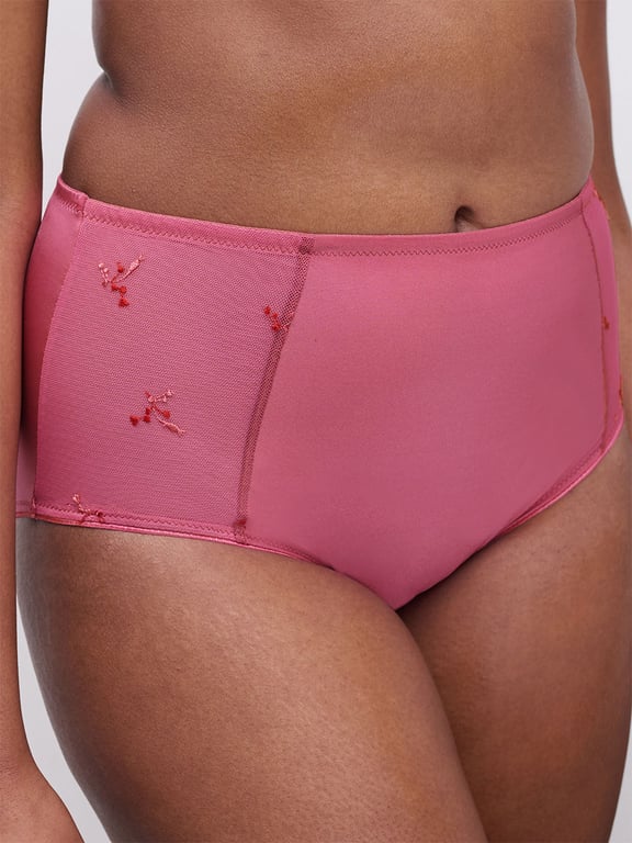 Every Curve Smoothing Full Brief Dahlia Multico - 3