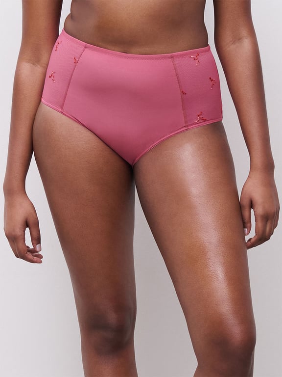 Every Curve Smoothing Full Brief Dahlia Multico - 0