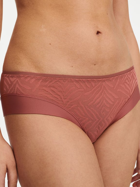 Graphic Allure Lace Hipster Amber - 2