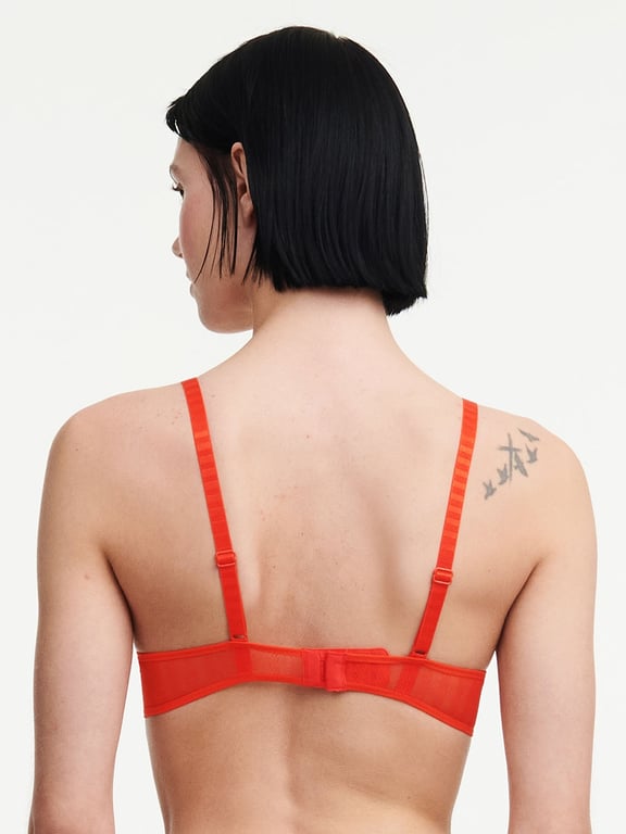 Passionata | Rebecca - Rebecca Push-up Bra, Passionata designed by CL Flame - 2