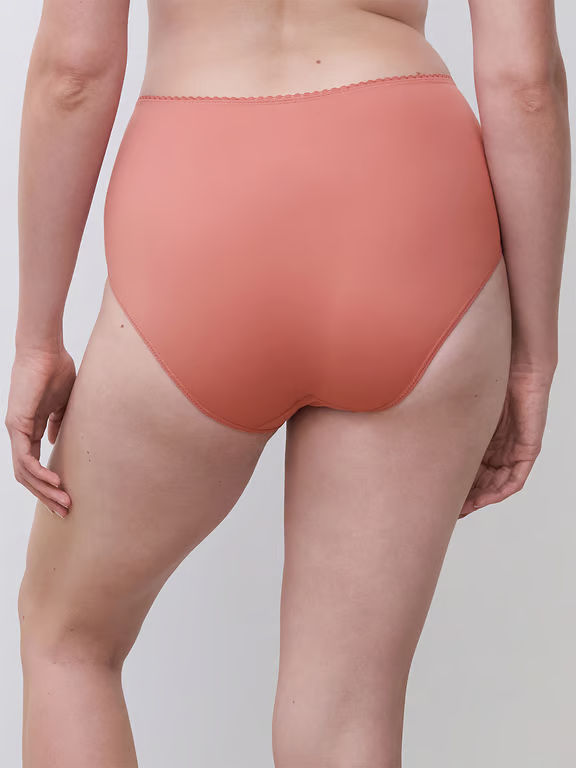 Easy Support High Waist Support Brief Rose Canyon - 2