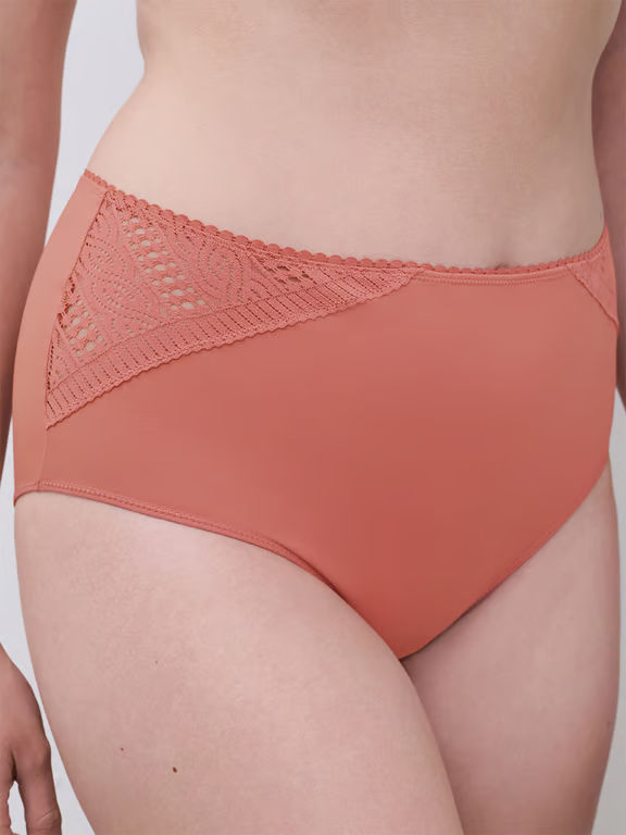 Easy Support High Waist Support Brief Rose Canyon - 3