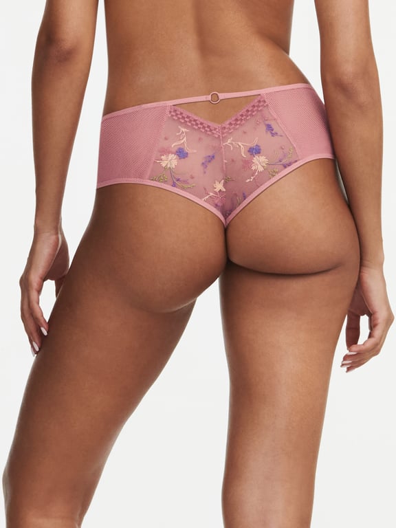 Passionata | Suzy - Suzy Lace Hipster, Passionata designed by CL Rosewood Multico - 2