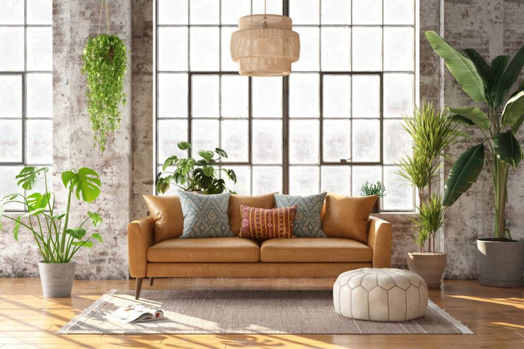 Houseplants improve people's psychology