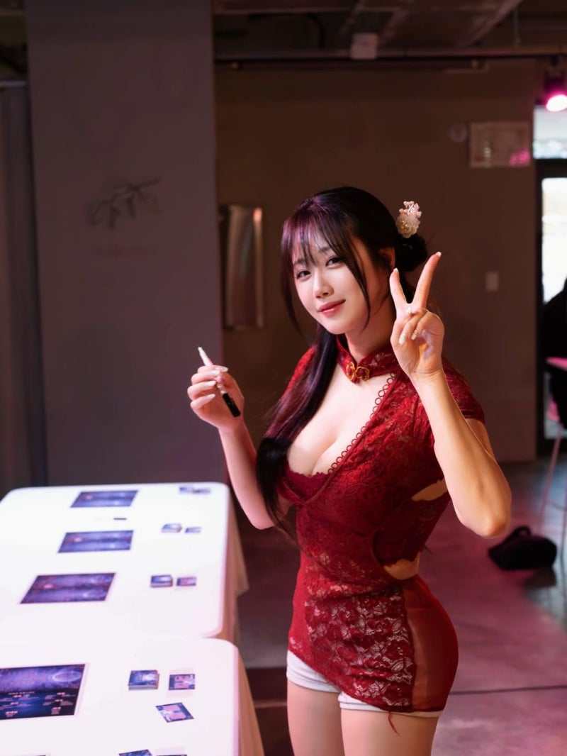 비제이 샤빈 2