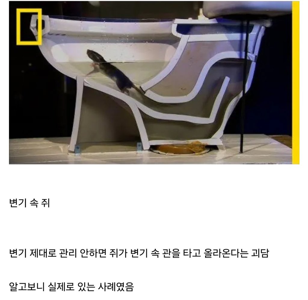 알고보면 뭐 좆도 없는 괴담들 7