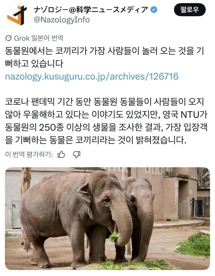 사람 오는 시간만 기다린다는 동물 1