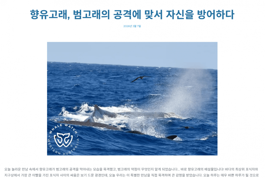 상륙 고래의 무시무시한 무기 1