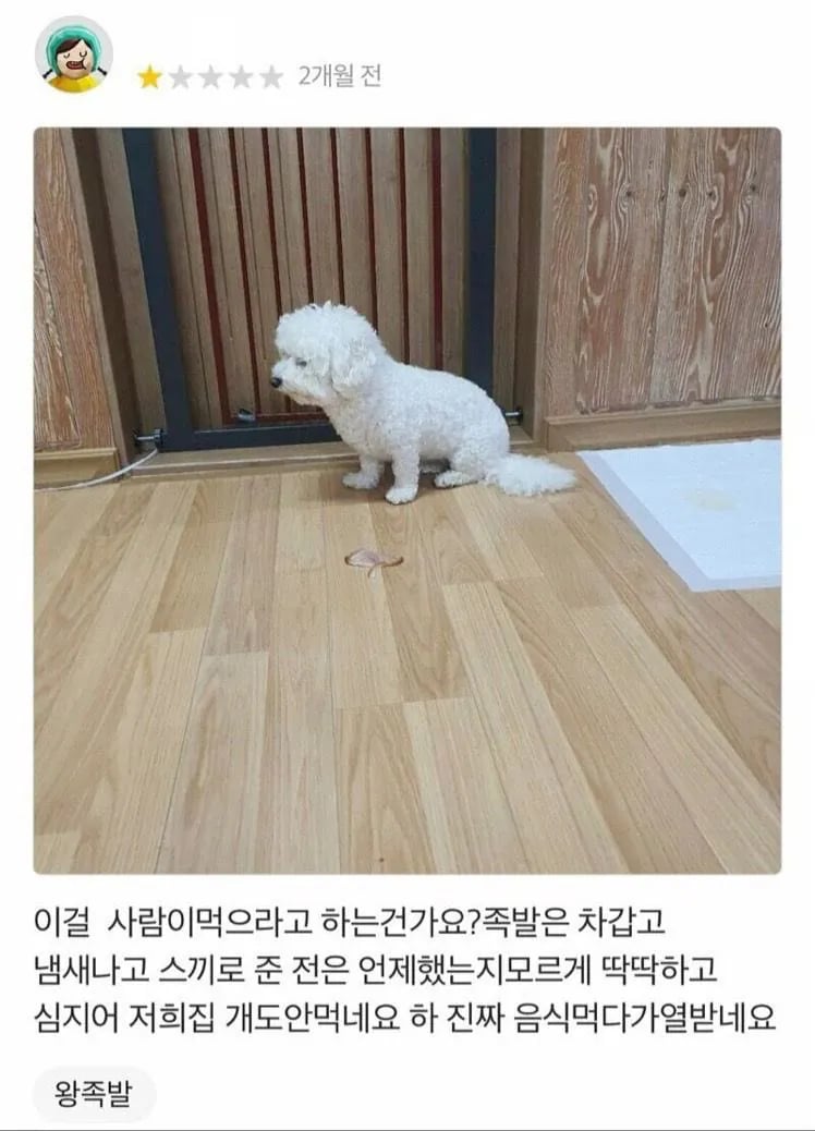 족발 시켰는데 이런 족발오면 어카나요?