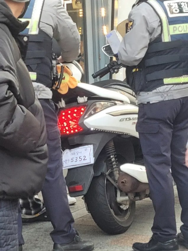 대구 딸배 번호판 레전드 1