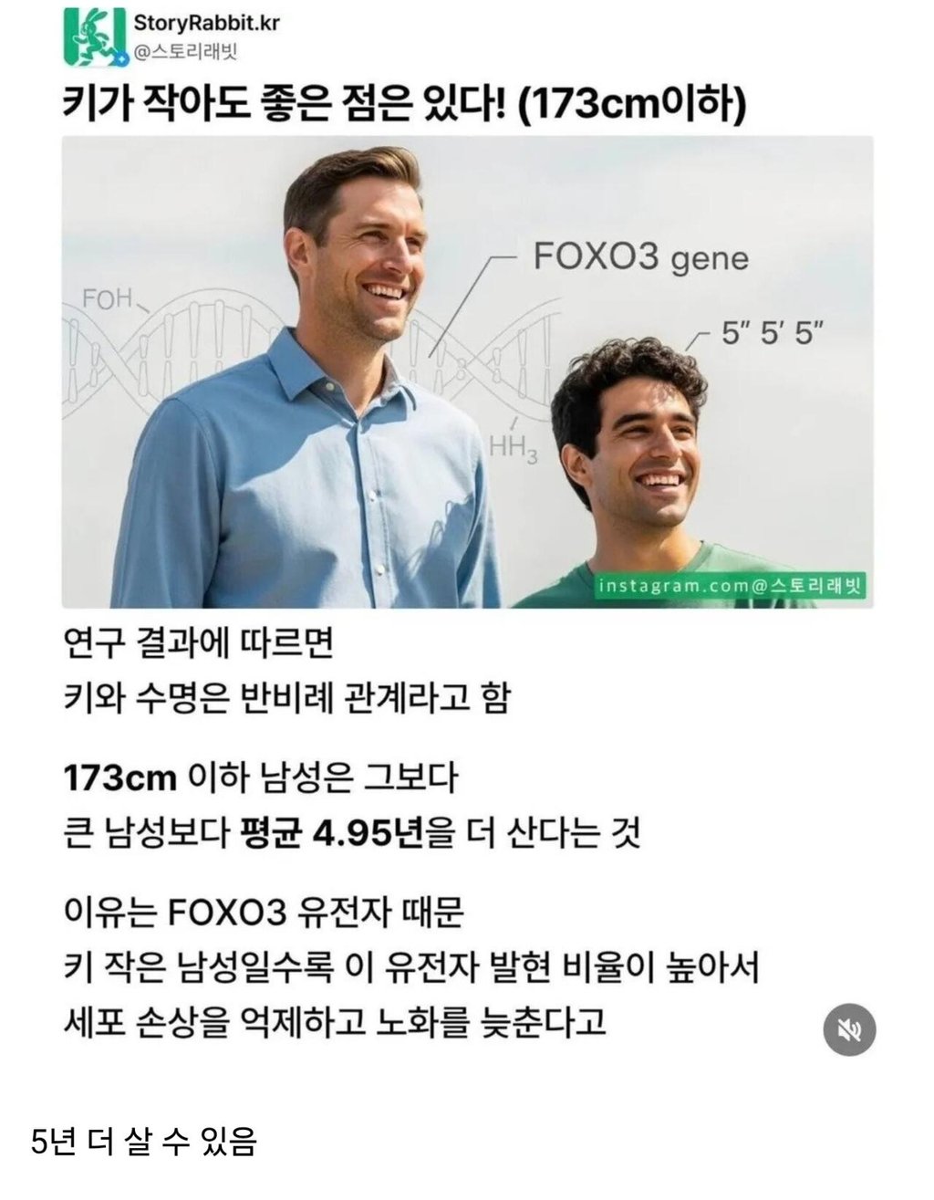 키작은형들 희소식