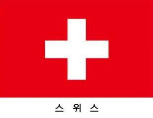 한국처럼 선관위가 없는 나라도 있을까? 11