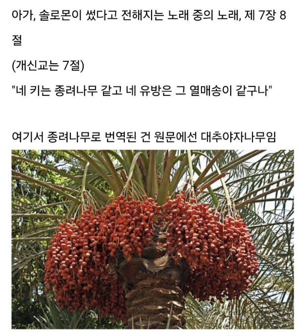 지혜의 왕 솔로몬, 여성 취향은 이랬다 1