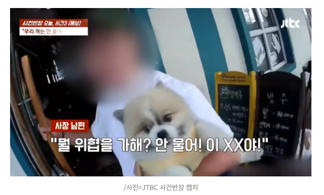 목줄 없는 개 달려들어 항의하자...카페사장 "안 물어 개XX야!" 폭언 1