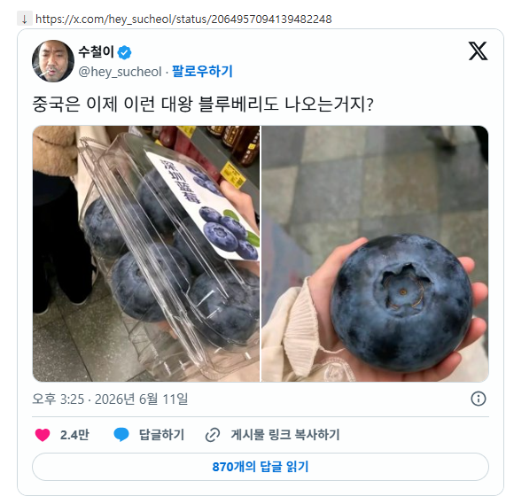 킹사이즈 블루베리