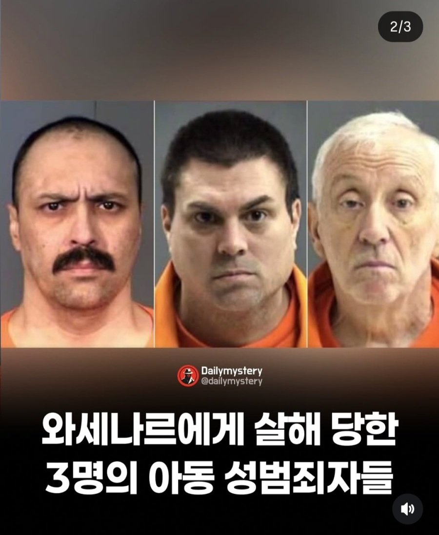 세명의 아동 성범죄자를 죽인 범죄자 1