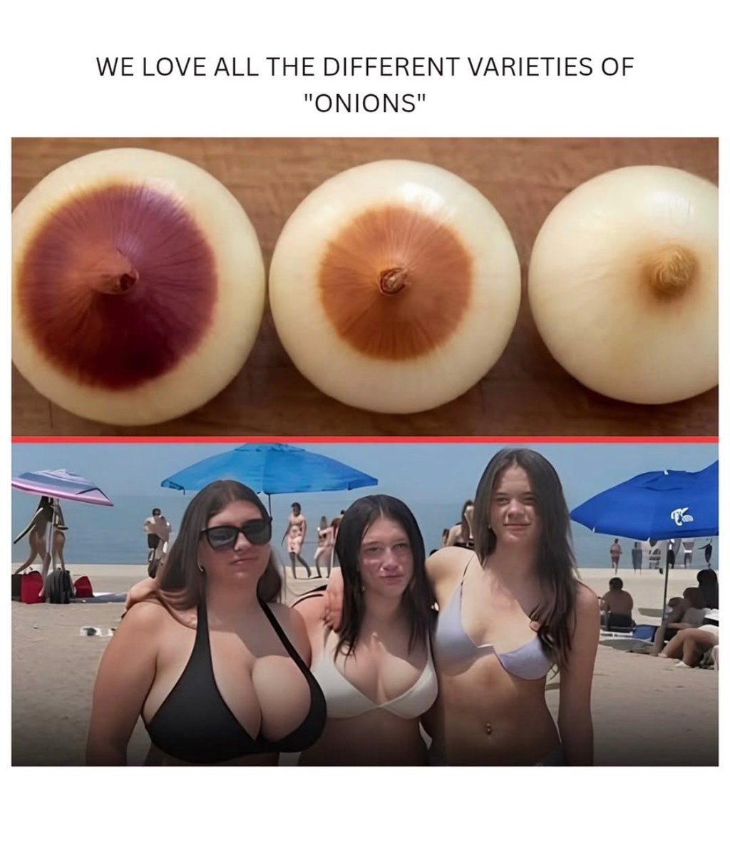 크기 별 모양