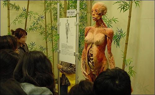 혐주의) 현대사회에선 절대 전시 불가능했을 전시전 ㄷㄷ 9