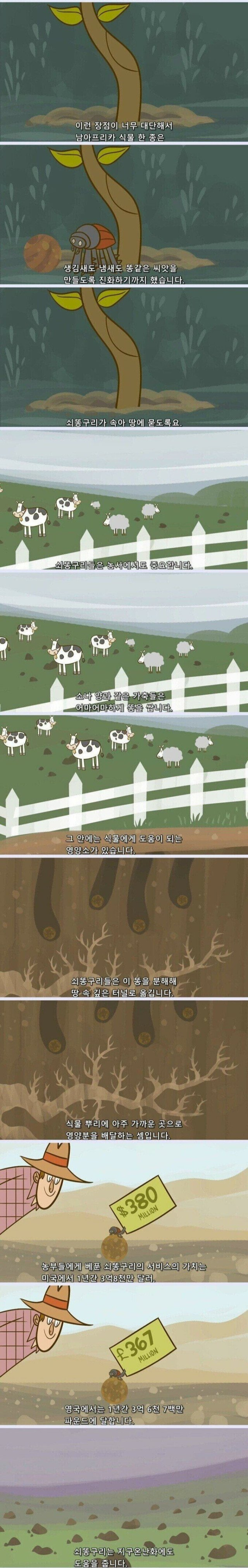 지구가 똥으로 뒤덮히지 않는 이유 (김 주의, 요약O) 6