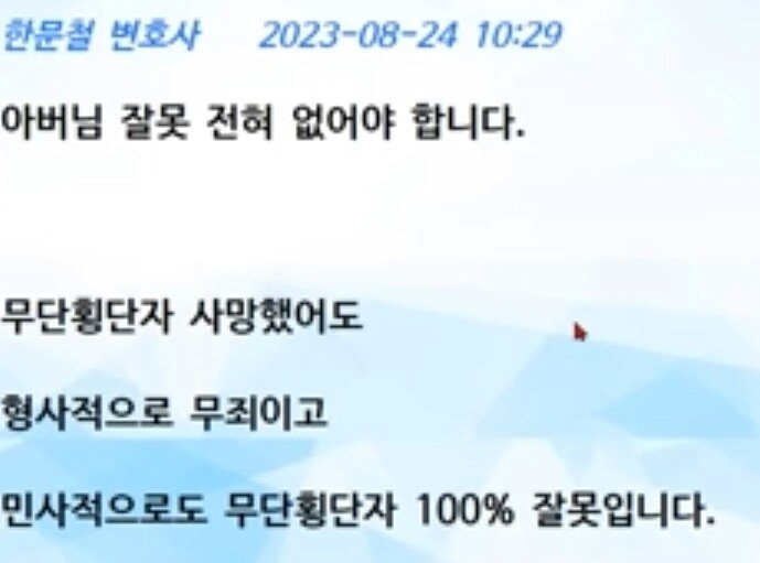 한문철 무단횡단 사망사고
