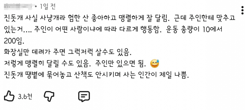 주인템포 맞추는 진돗개 2