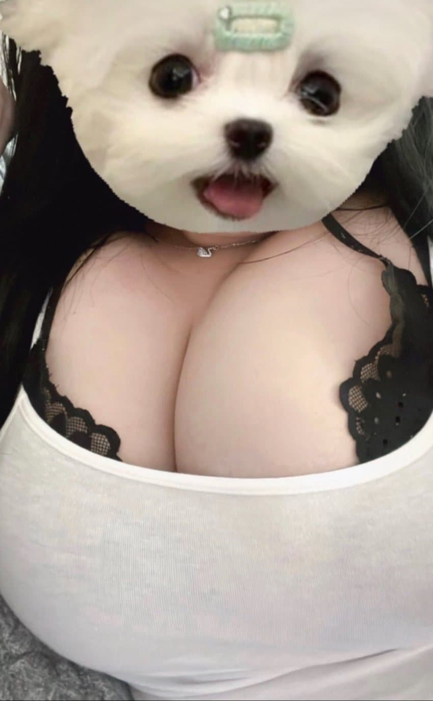 ㅇㅎ)도지중 제일 비싼도지
