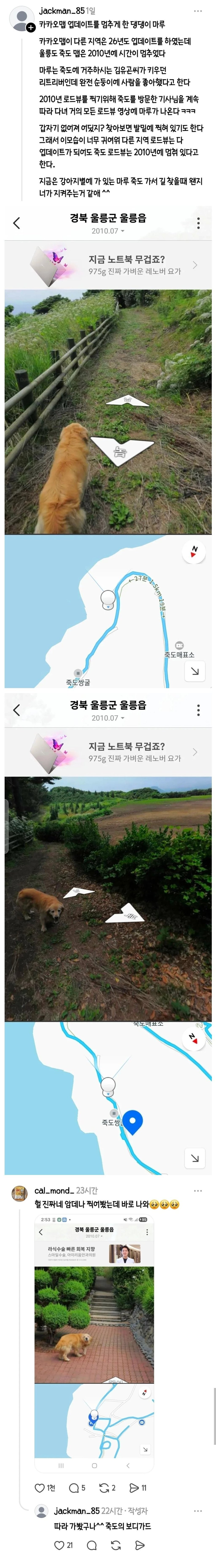 울릉도 죽도 카카오맵 로드뷰가 2010년에 멈춘 이유