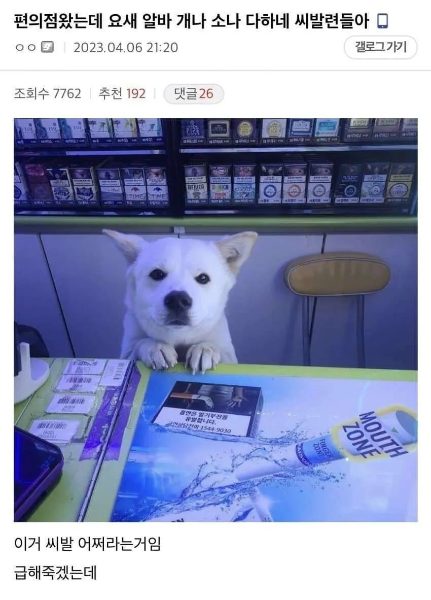 편의점 왔는데 요새 알바 개나 소나 다하네