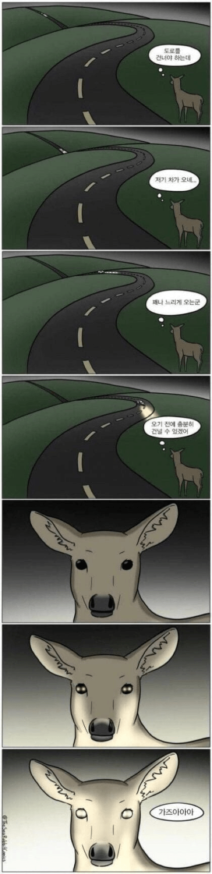 고라니가 미친새끼들인 이유