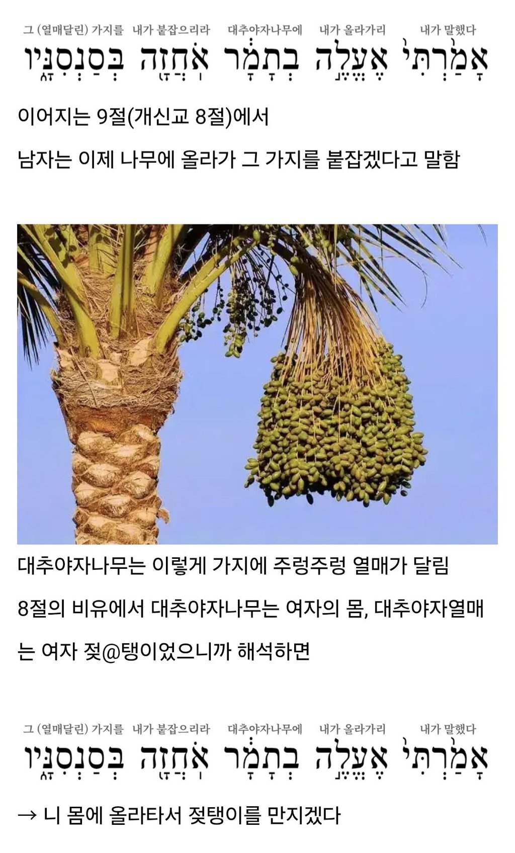 지혜의 왕 솔로몬, 여성 취향은 이랬다 3