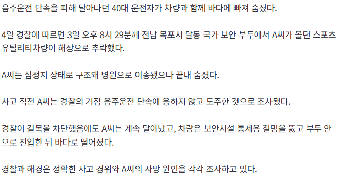 음주단속 도주 끝 바다 추락…운전자 결국 숨져 2