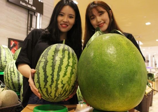 한통에 10만원이 넘는 정신나간 수박에 정체는? 6