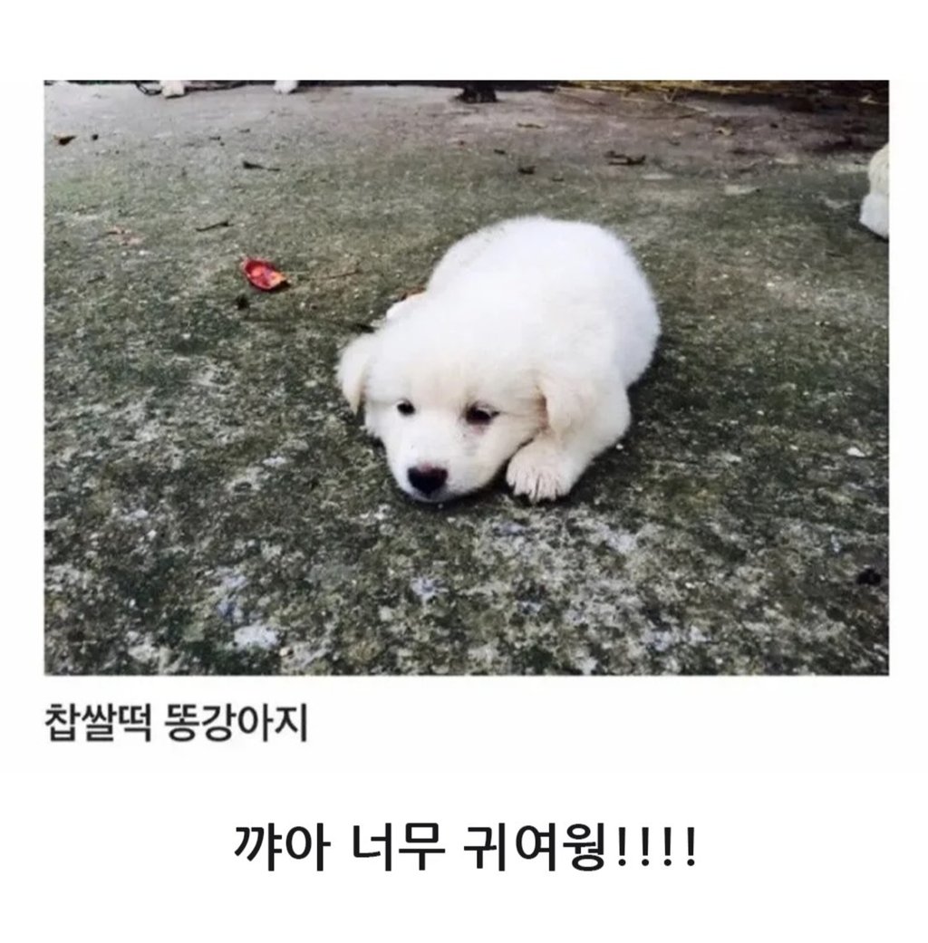 무시무시한 대한민국 시골 8