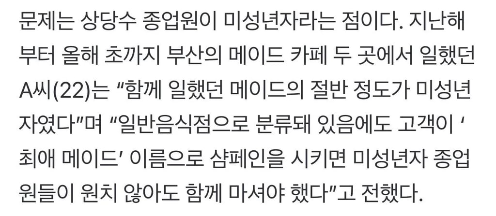 메이드카페도 단속대상 2