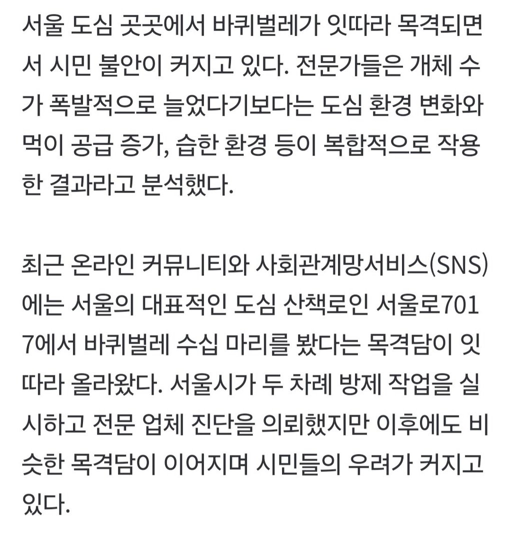 바퀴벌레 창궐 ‘3요소’ 갖춘 서울…살충제도 안 통한다 3