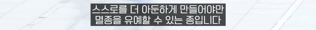 사람은 약간 멍청해야(?) 살아남을 수 있다. 25