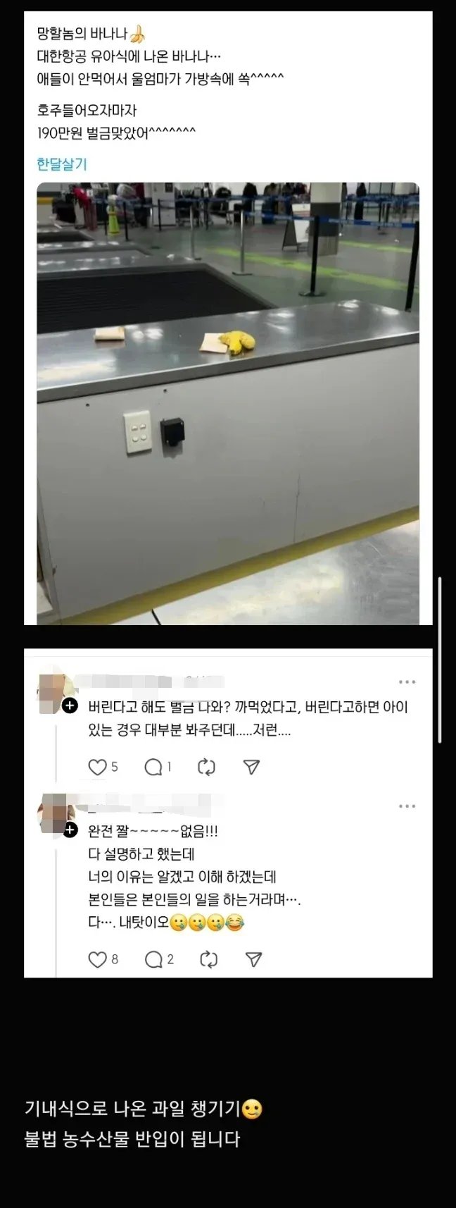 기내식 바나나 챙겼다가 벌금문썰