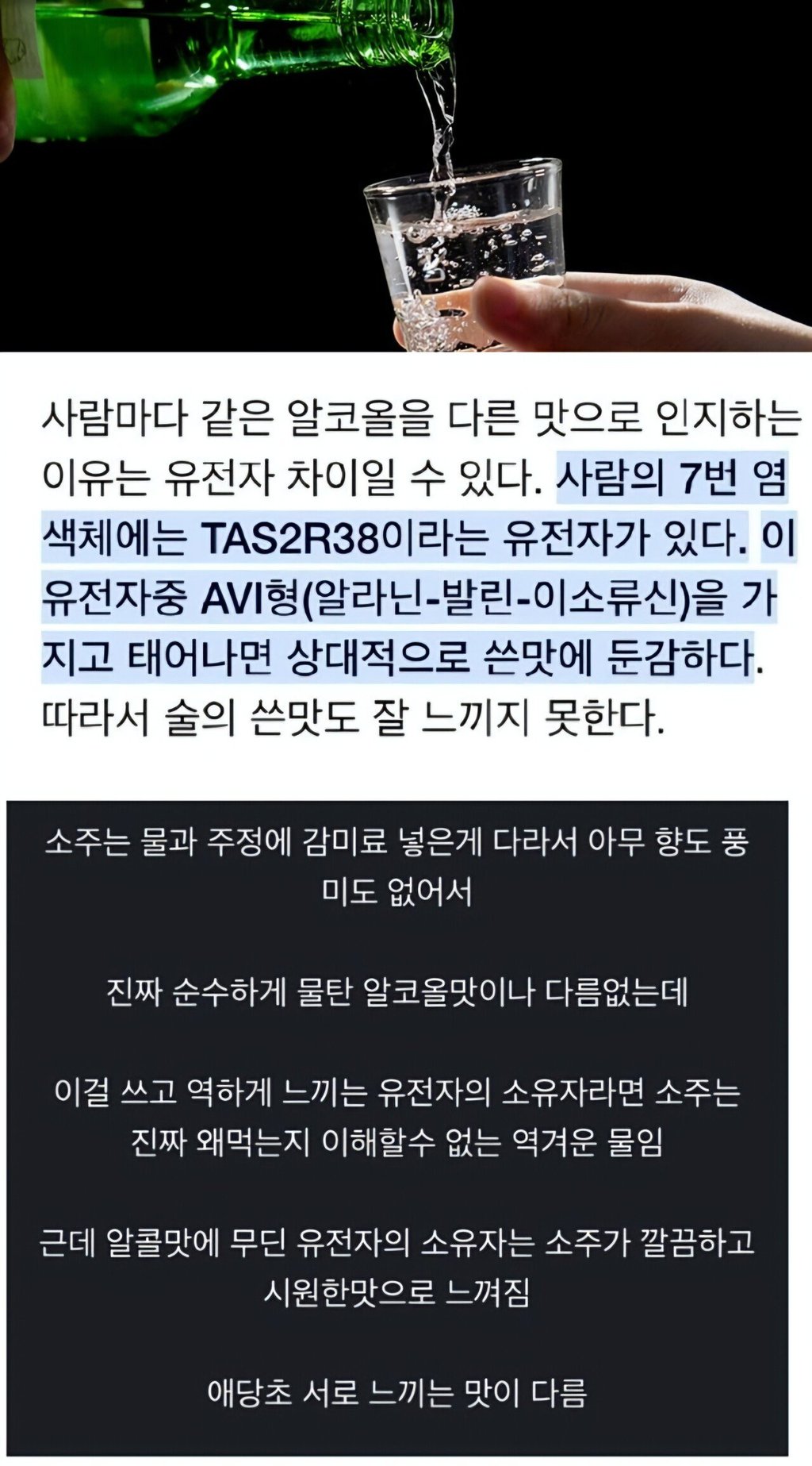 소주가 역해서 맛이 없다는 사람들