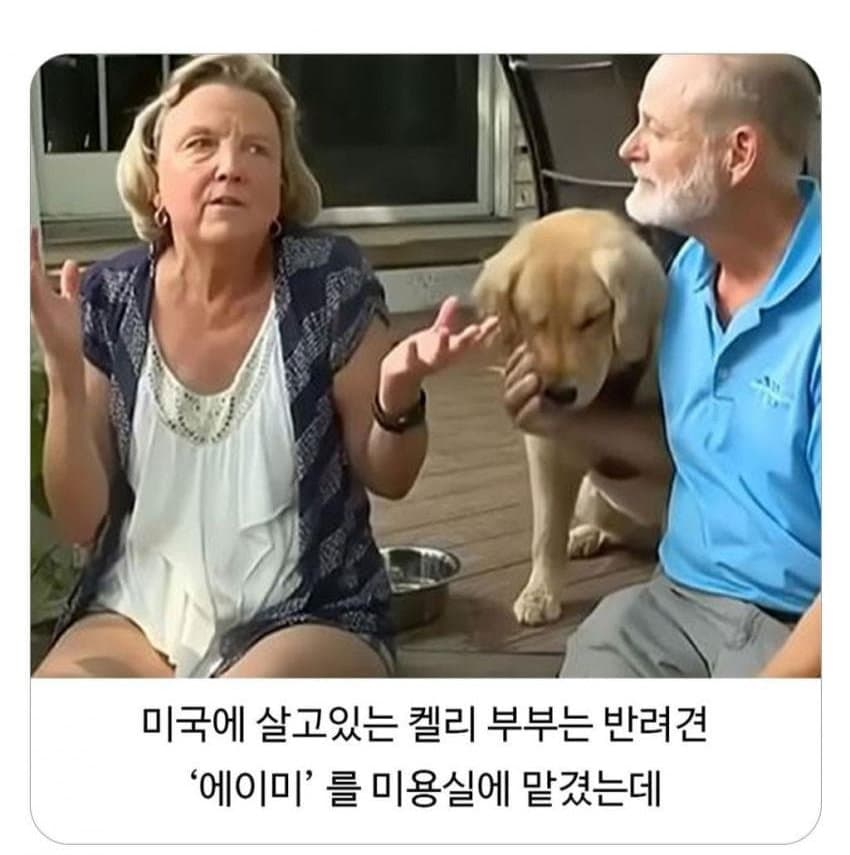 미용실 다녀온 후 예민해진 찹츄 1