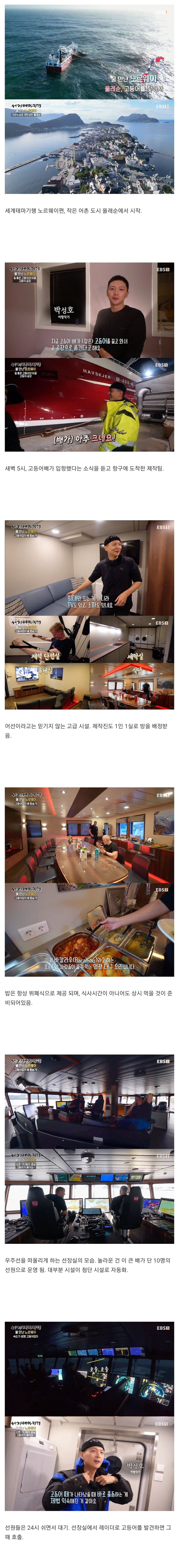 노르웨이 고등어 잡이 1